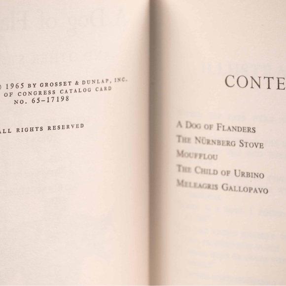 Tom Sawyer, Abroad / A Dog of Flanders and other stories - Picture 8 of 9